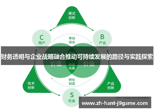 财务透明与企业战略融合推动可持续发展的路径与实践探索