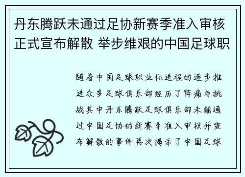 丹东腾跃未通过足协新赛季准入审核正式宣布解散 举步维艰的中国足球职业化困境再现