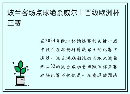 波兰客场点球绝杀威尔士晋级欧洲杯正赛
